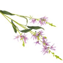 položky Umelý kvet Triteleia pre elegantnú kvetinovú dekoráciu v obývacích priestoroch, 110 cm, 2 kusy