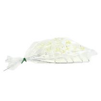 položky Ľalia na drôte stredná 25 ks