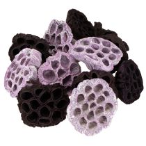 položky Lotus Mix Ružová, Erika Ø6cm - Ø10cm 50 ks