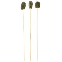 položky Luffa malá na paličke, uhorková, tmavozelená 5-7 cm 25 ks