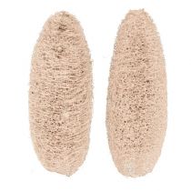 položky Lufa veľká bielená 20 ks