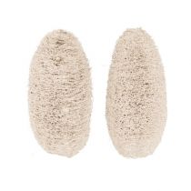 položky Luffa malá bielená 50 ks