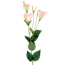 položky Lysianthus umelý ružový 87,5cm