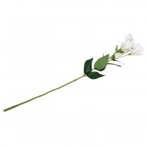 položky Lysianthus umelý kvet biely L87,5cm
