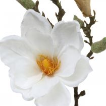 položky Magnólia biely umelý kvet s púčikmi na ozdobnej vetvičke V40cm