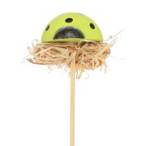 položky Lienka dekoračné kvetinové zátky drevo farebné 3,5cm 24 ks