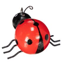 položky Drevené lienky/ploštice pre šťastie ako roztomilé dekorácie do domácnosti, 5 cm, 6 kusov