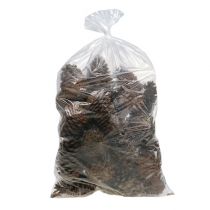 položky Maritima šišky 14/18 prírodné 25 ks