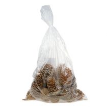 položky Kornútky Maritima krémovo-vanilkové mix 5-18cm 25 ks