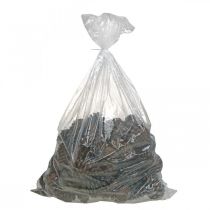 Článok Šišky Maritima, pohrebná kvetinárstva, adventná dekorácia, prírodný produkt V12–15cm Ø6,5–10cm 50 kusov