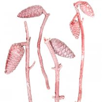 položky Námorný kužeľ na konári ružovo/biely voskovaný 400g
