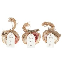 položky Zmes námorných dekoratívnych mušlí v sieťke, farebná, 3,5-6 cm, 300 g × 3 kusy