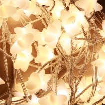 položky Micro Cluster LED rozprávkové hviezdy 120 LED 300cm