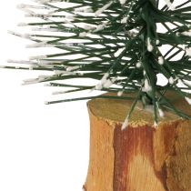 položky Mini jedličky zasnežené v zimnom lese Ø5cm V8cm 12 ks