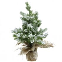 položky Mini vianočný stromček vo vreci zasnežený Ø25cm V42cm