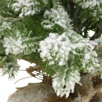 položky Mini vianočný stromček vo vreci zasnežený Ø25cm V42cm