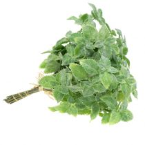 položky Mätová umelá zelená 25cm 12 ks