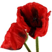 položky Mak červený 58cm - 74cm 3 ks