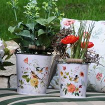 položky Vlčie maky v tráve 23cm