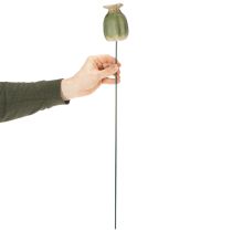 položky Záhradné dekorácie z makových semienok pre pôvabné záhradné aranžmány 60 cm 2 ks
