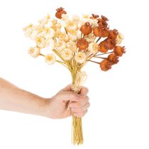 položky Sušené umelé makové struky, zväzok troch farieb, 40 cm, 45 kusov