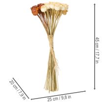 položky Sušené umelé makové struky, zväzok troch farieb, 40 cm, 45 kusov