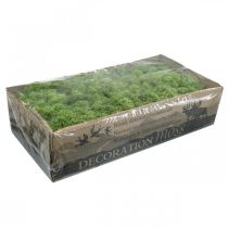 položky Moss Islandský mach zelený 400g