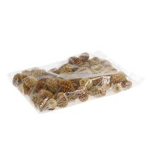 položky Krém na šišky Sabulosum 500g