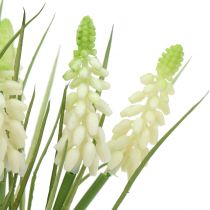 položky Hroznové hyacinty v strapci biele 30cm 15 ks