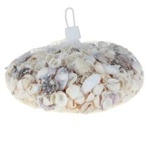 položky Dekorácia lastúry mini kúkol slimáky ulity 1-3cm 340g