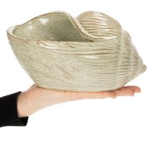 položky Keramická miska s motívom mušle pre elegantnú dekoráciu v obývačke, 23 cm