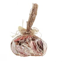 položky Dekorácia mušlí skutočné mušle rôzne druhy 300g