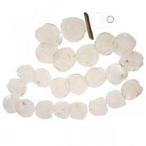 položky Mušle Garland Mother of Pearl Mušle Garland Capiz 195cm