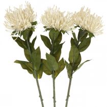 položky Špendlíkový vankúšik umelé kvety exotické Protea Leucospermum krém 73cm 3ks