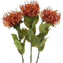 položky Ihelníček Exotický umelý kvet Pomaranč Leucospermum Protea 73cm 3ks