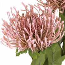 položky Jesenný kvetinový ihelníček umelý Protea Rosa Leucospermum 73cm 3ks