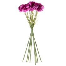 položky Umelý klinček, dvojfarebný, dlhá stonka 56 cm, kytica 8 kusov