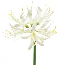 položky Nerine Guernsey Lily Umelý kvet Biela Žltá Ø15cm L65cm