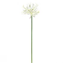 položky Nerine Guernsey Lily Umelý kvet Biela Žltá Ø15cm L65cm