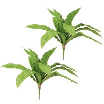 položky Hniezdo papraď umelé rastliny v zelenej farbe 5,5×22cm 2ks