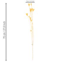 položky Aranžmán zo sušených kvetov Nigella na dlhodobé použitie. Elegantný pútavý vzhľad. 70 cm 50 g