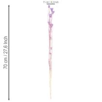 položky Kytica sušených kvetov Nigella, dekoratívne využitie v obývačke, vytvára jedinečnú atmosféru, 70 cm, 50 g