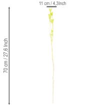 položky Sušené kvety nigelly, pôvabná prírodná dekorácia do domácnosti, 70 cm, 50 g