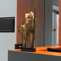 položky OASIS® Black Table Deco Medi Floral Foam 4 ks