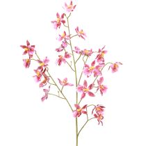 položky Oncidium Umelá dekorácia Orchidey Ružovofialová 93cm 2ks