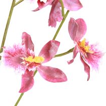 položky Oncidium Umelá dekorácia Orchidey Ružovofialová 93cm 2ks