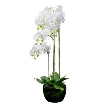 položky Orchidea biela so zemeguľou 110cm