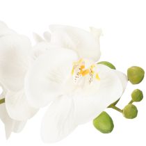 položky Umelá orchidea v kvetináči pre harmonickú atmosféru, biela, 60 cm