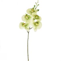 položky Orchidea Umelá žltá Zelená Phalaenopsis 85cm