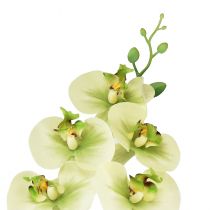 položky Orchidea Umelá žltá Zelená Phalaenopsis 85cm